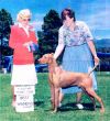 Thumbnail of Papago Samsson
