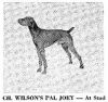 Thumbnail of Wilson's Pal Joey