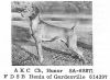 Thumbnail of Hunor / Heniu of Gardenville