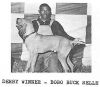 Thumbnail of Bobo Buck Selle