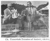 Thumbnail of Timarkas Tsindee Of Amber