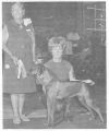 Thumbnail of Miss Nessi