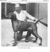 Thumbnail of Great Gun's Joska