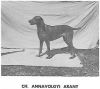 Thumbnail of Annavölgyi Arany