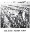 Thumbnail of Rebel Rouser Dutch