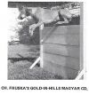 Thumbnail of Fruska's Gold-In-Hills Magyar