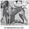 Thumbnail of Mehagian's Kis Lany