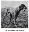 Thumbnail of Juliana's Abrandozo