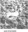 Thumbnail of Jack Star Buck