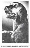 Thumbnail of Count Jonish Mignotte