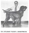 Thumbnail of Stelmar Tuzar v Aranymuve