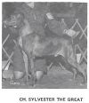 Thumbnail of Sylvester The Great