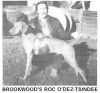 Thumbnail of Brookwood's Roc O'Dez-Tsindee