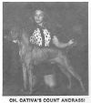 Thumbnail of Cativa's Count Andrassi