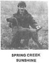 Thumbnail of Spring Creek Sunshine