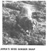 Thumbnail of Arra's Miss Ginger Snap