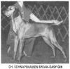 Thumbnail of Schnapsnamen Speak-Easy Gin *