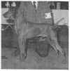 Thumbnail of Piroska Checkmate v Lobo