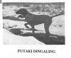 Thumbnail of Futaki Dingaling
