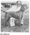 Thumbnail of Apollo