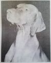 Thumbnail of Glen Cottage Loki Barat