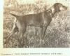 Thumbnail of Winneshiek Spotmatic