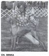 Thumbnail of Minka