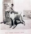 Thumbnail of Rebel Rouser Duke