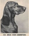 Thumbnail of Besa v Debretsin