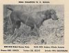 Thumbnail of W D Regina