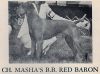 Thumbnail of Masha's BB Red Baron