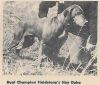Thumbnail of Fieldstone's Hey Duke