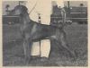 Thumbnail of Sandor's Miklo's Ishi Debretsin