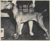Thumbnail of Glen Cottage Bar-Rit Jay Jay / Bar Rit Jay