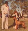 Thumbnail of Wayne's Dainty Lady