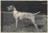 Thumbnail of Deacon's Sj Myrlin Caleal