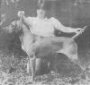 Thumbnail of Damar's Southern Lady