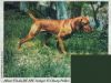 Thumbnail of Semper Fi Chesty Puller