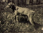 Thumbnail of Makk I (OVC 230)