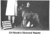 Thumbnail of Nicole's Diamond Repete