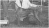Thumbnail of Vinmars Mischievious Mari