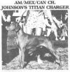 Thumbnail of Johnson's Titian Charger