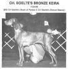 Thumbnail of Boelte's Bronze Keira