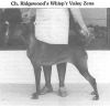 Thumbnail of Ridgewood's Whisp'r Valey Zena