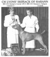 Thumbnail of Lyons'skipjack Of Harann