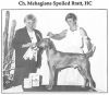 Thumbnail of Mehagian's Spoiled Bratt