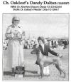 Thumbnail of Oakleaf's Dandy Dalton