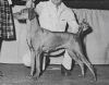 Thumbnail of El-Jo's Country Girl