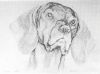Thumbnail of Hell Cat Heidi
