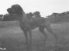 Thumbnail of Abby Hills Winsong